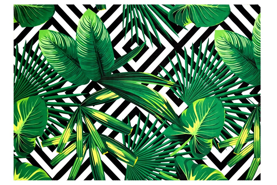 Dywany z nowej kolekcji dżungla