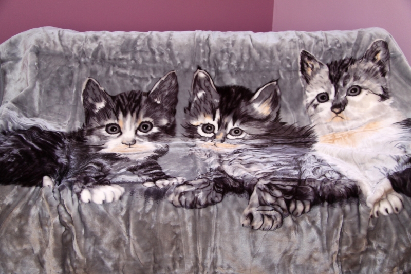 Szary puszysty młodzieżowy koc w ozdobne trzy kotki