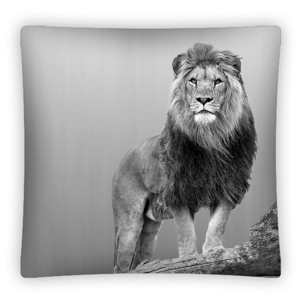 Dziecięca poszewka na poduszkę z lwem